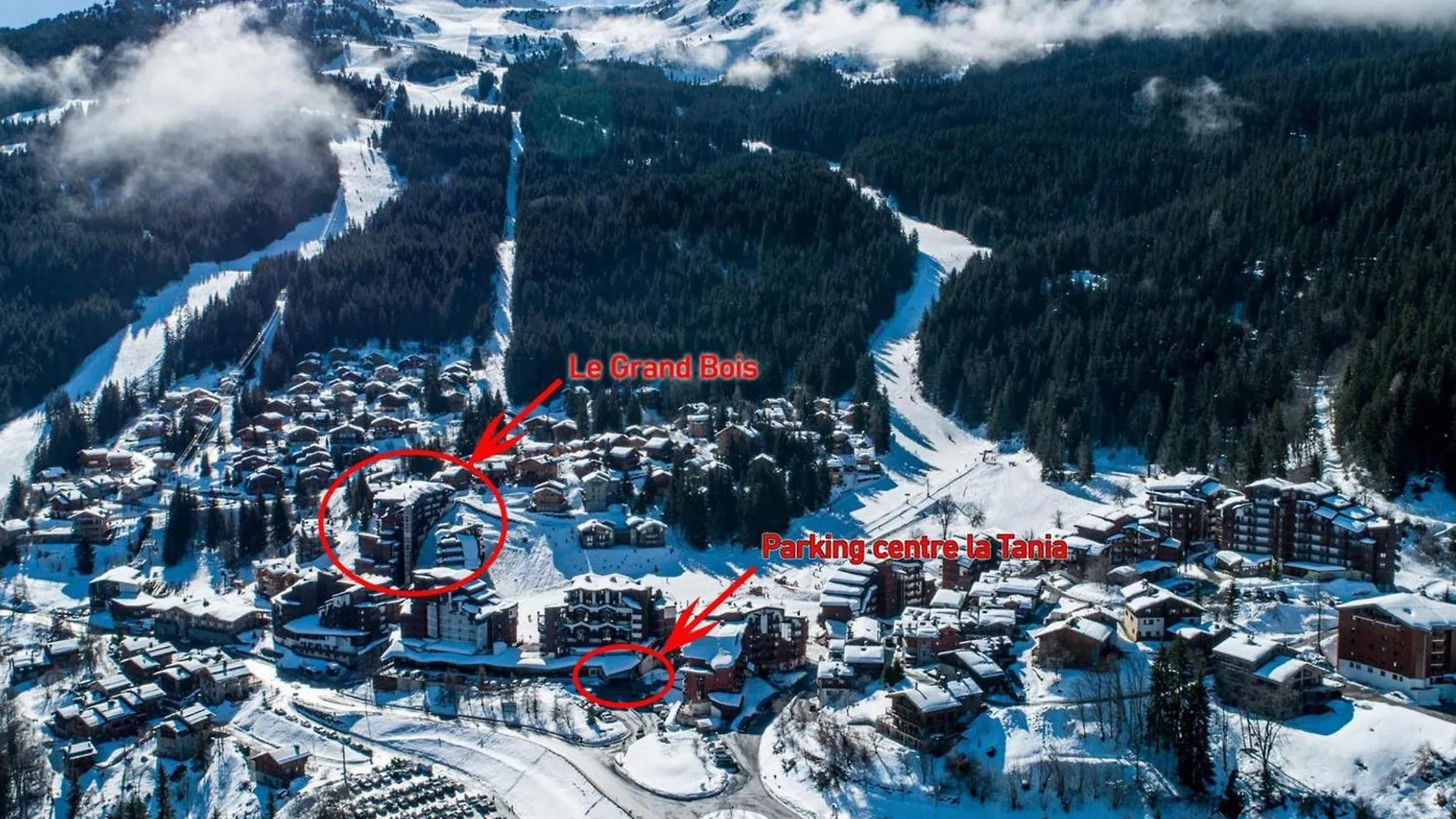 Location Ski La Tania : Apt 2 Pieces, 4 Pers, Balcon, Proche Commerces Et Navettes - Fr-1-182A-22 Courchevel 0*,